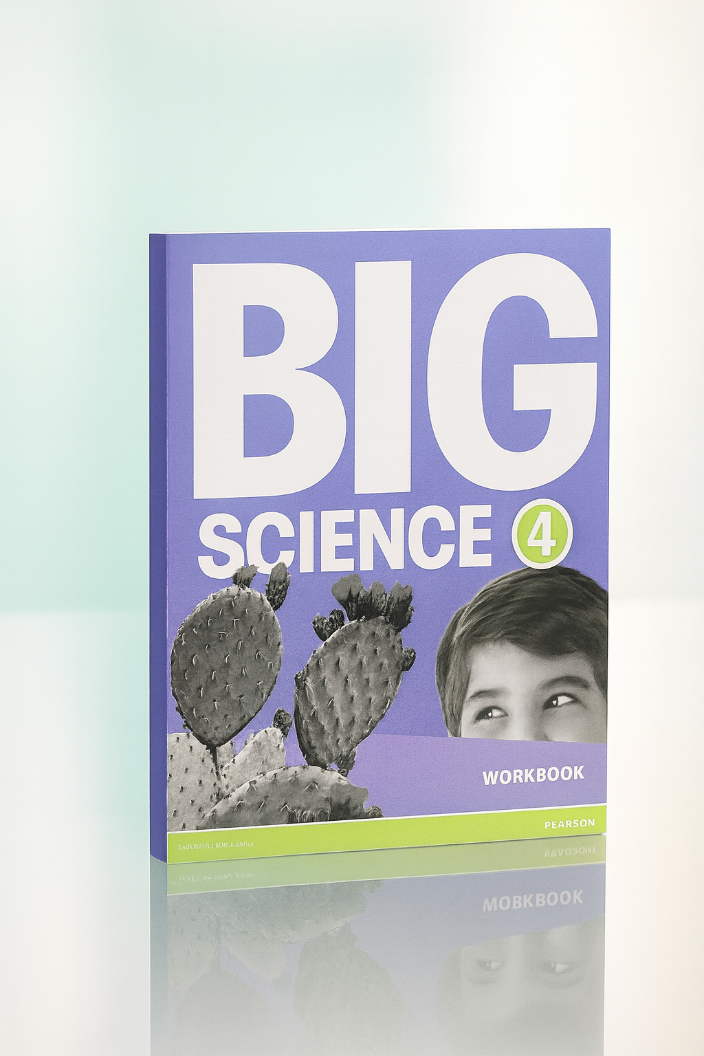 Big Science: 4 Workbook