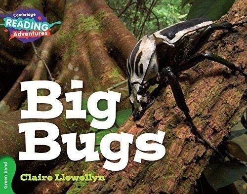 BIG BUGS