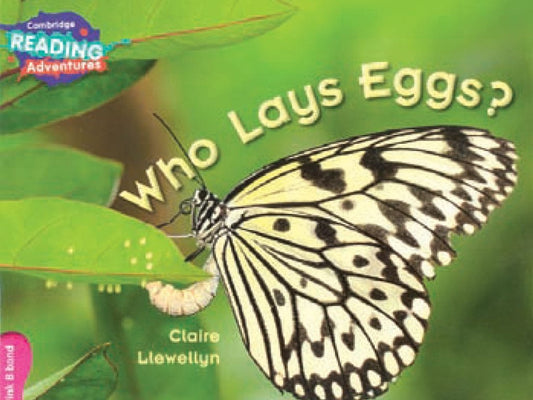 WHO LAYS EGGS ?