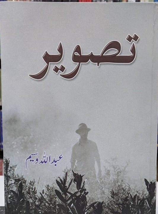 Tasveer urdu novel