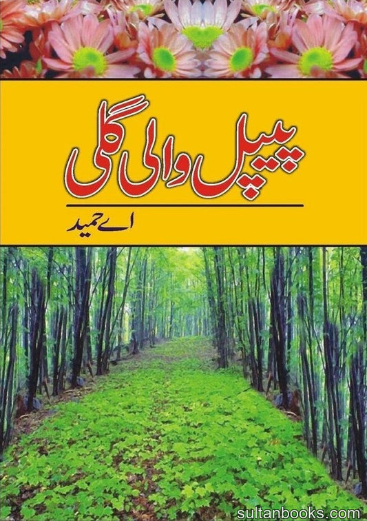Peepal Wali Gali - پیپل والی گلی