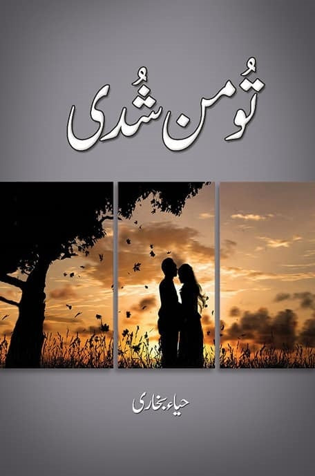 Tu Man Shudi - تو من شدی urdu novel